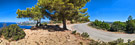 Panorama | Cap Canaille (Route des Crêtes)
