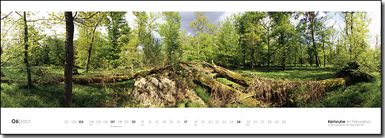 06|2007 Im Bannwaldbereich des Oberwaldes, 325